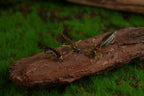 Three realistic stonefly nymph tying examples on wood and moss