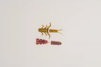 Light brown and dark realistic stonefly nymph body components