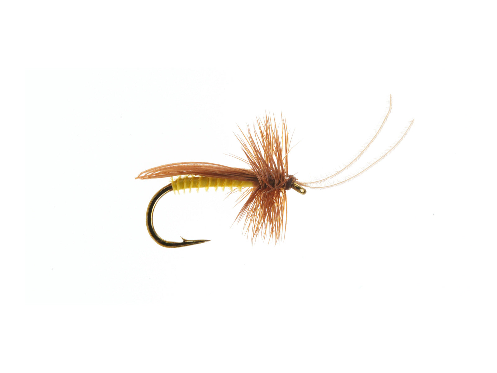 Studio product image of the Caddis Adult, WIFREO style LY009