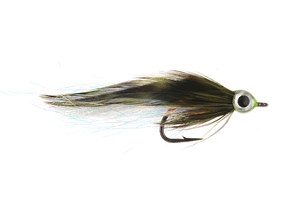 Studio product image of the Black Baitfish, WIFREO style LY019B