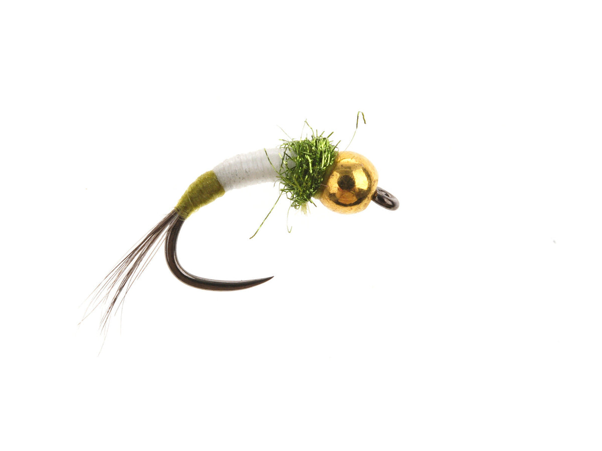 Product photo of the Olive Caddis Larva – Brass Bead, WIFREO style LY044B