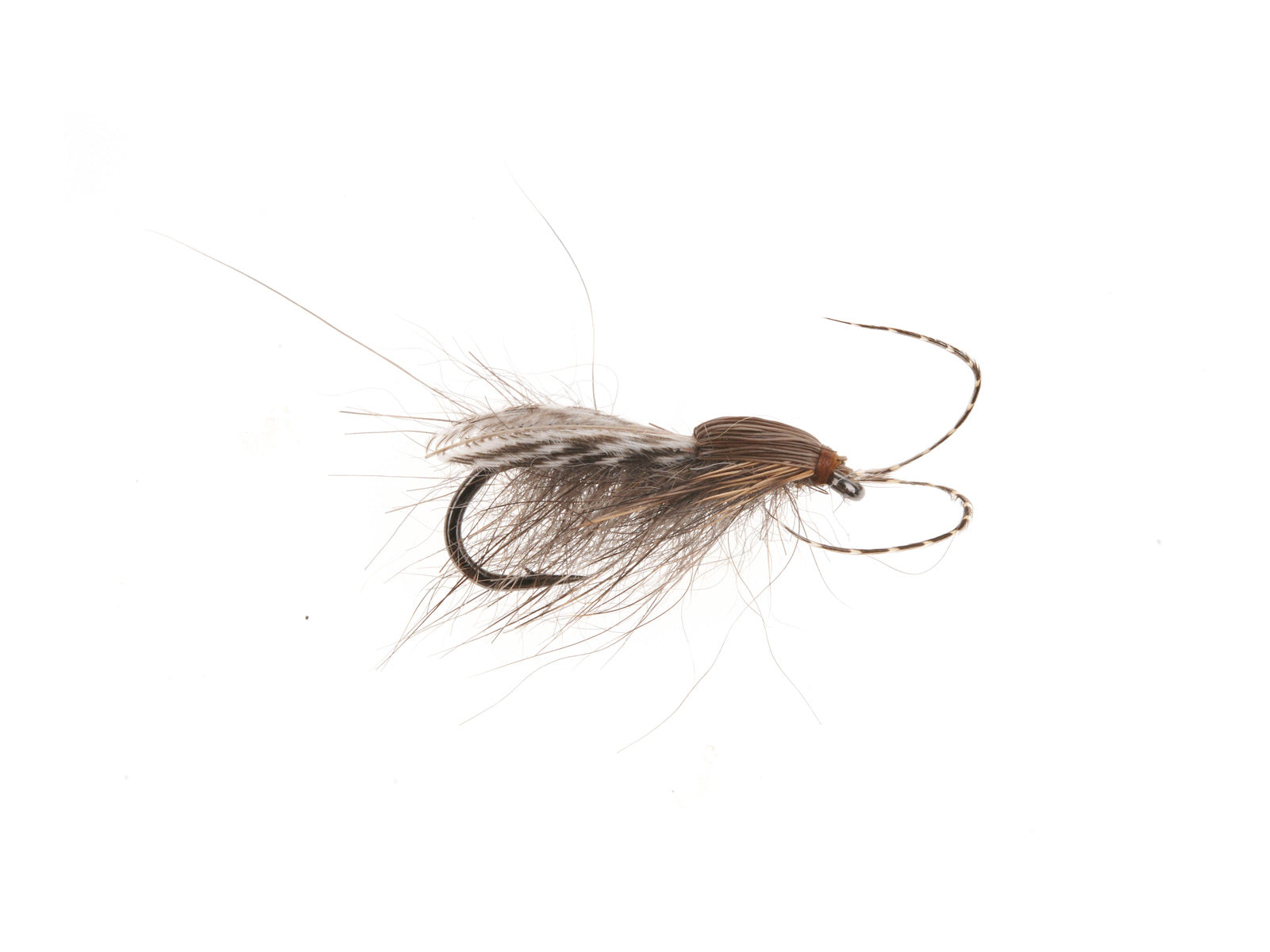 Studio product image of the Caddis Adult, WIFREO style LY055