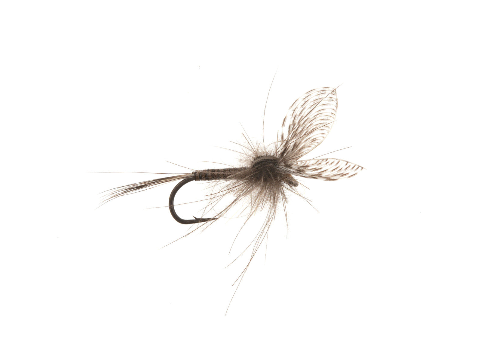 Product photo of the Wally Wing Mayfly Dry Fly, WIFREO style LY065