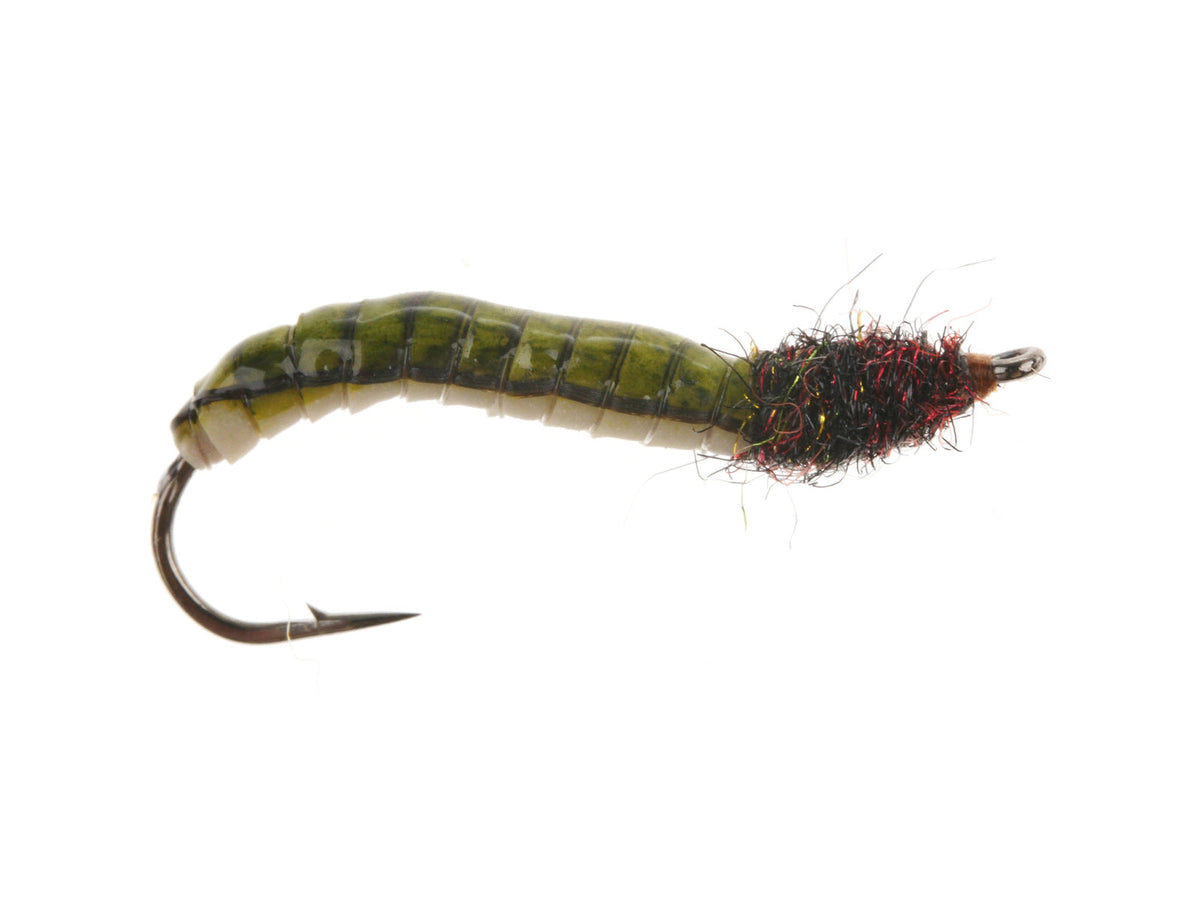 Product photo of the Olive Caddis Larva, WIFREO style LY068B