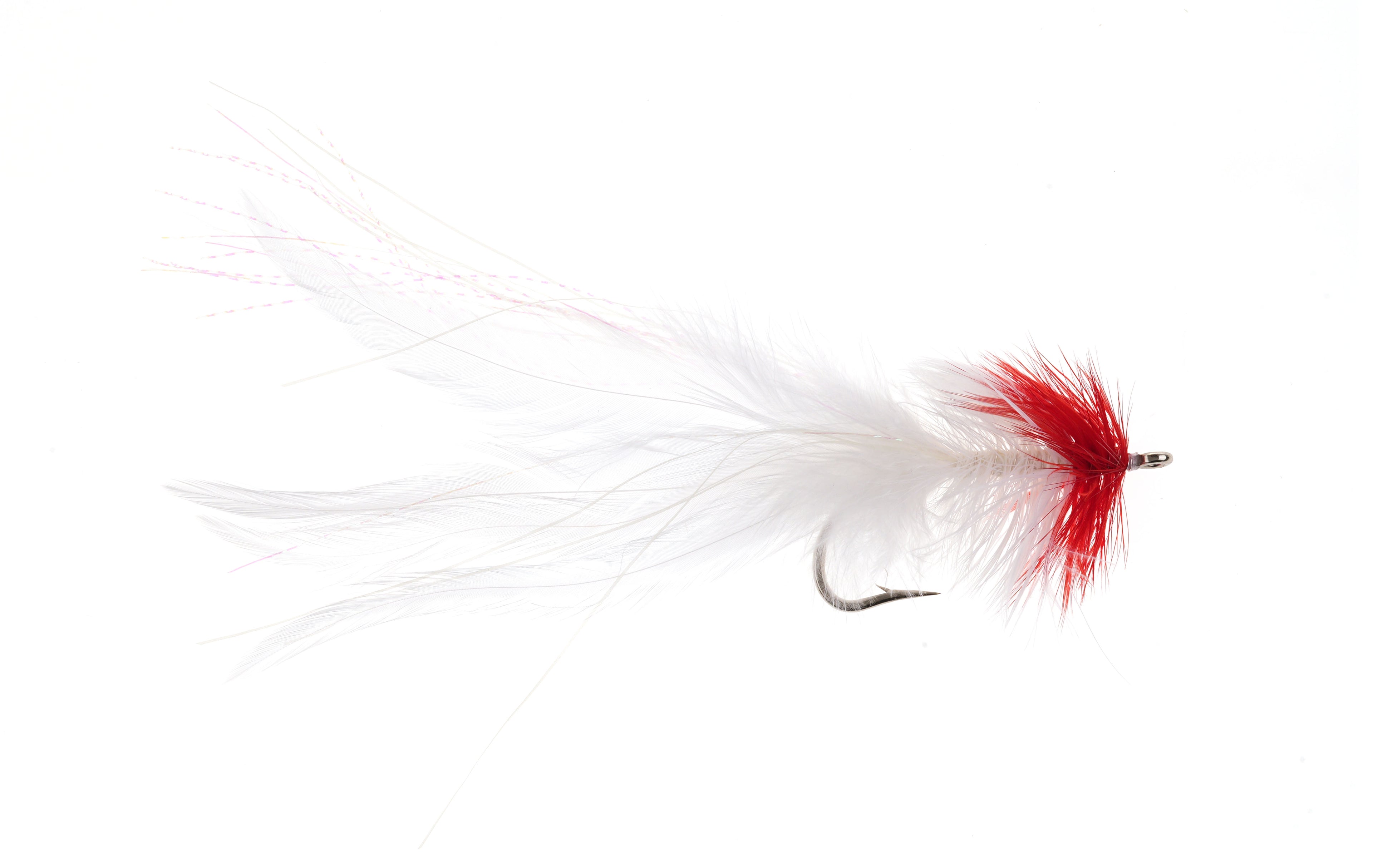 Studio product image of the White Intruder, WIFREO style LY078A