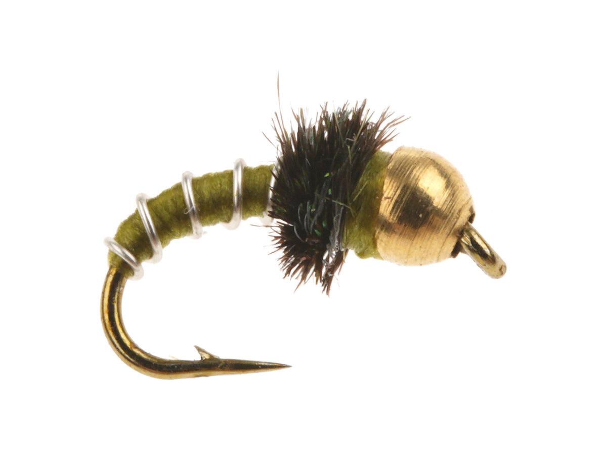 Product photo of the Olive Zebra Midge – Brass Bead, WIFREO style WY045B