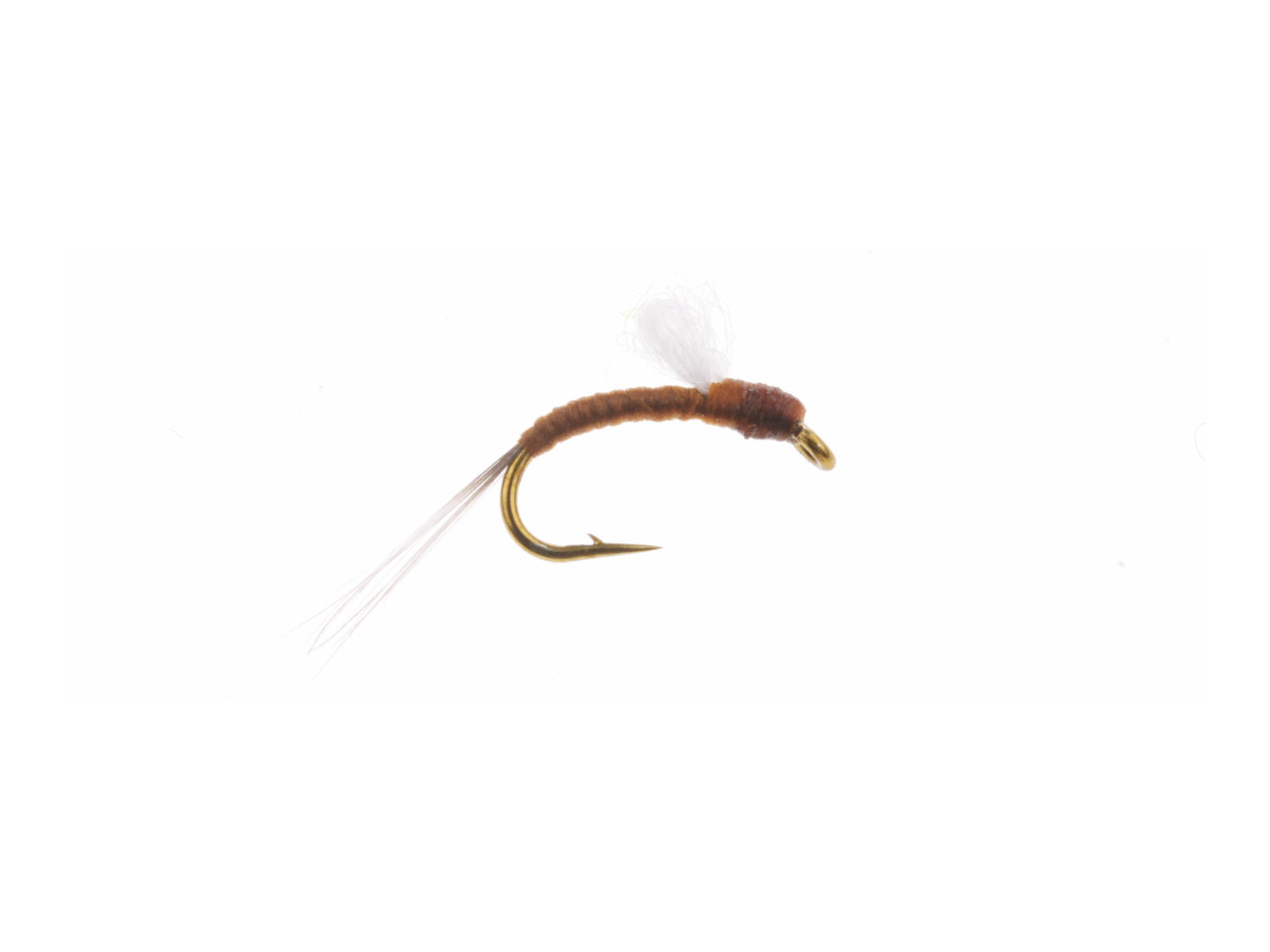 Studio product image of the RS2, WIFREO style WY068