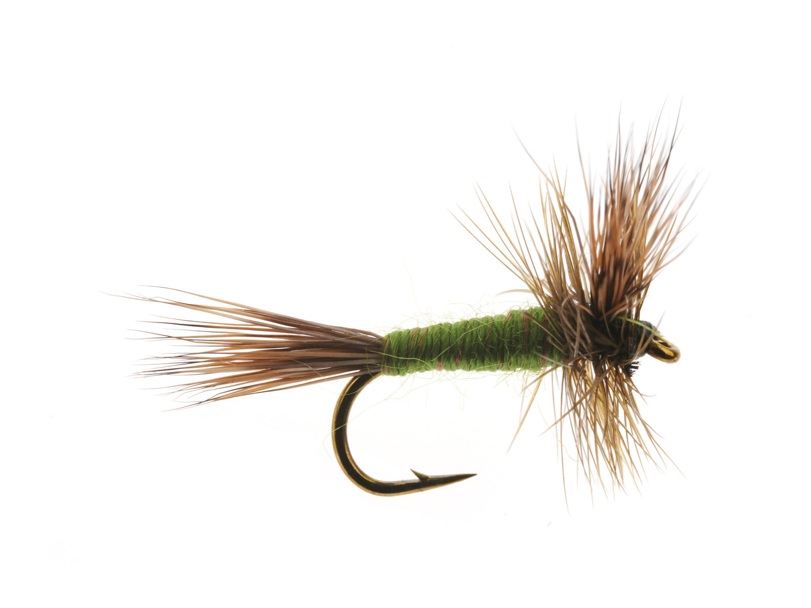Studio product image of the BWO, WIFREO style WY1113