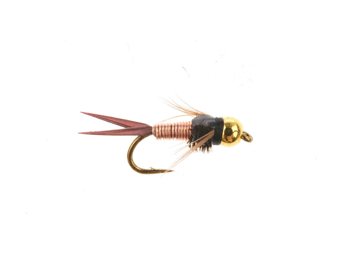 Product photo of the Copper John Nymph – Brass Bead, WIFREO style WY329B