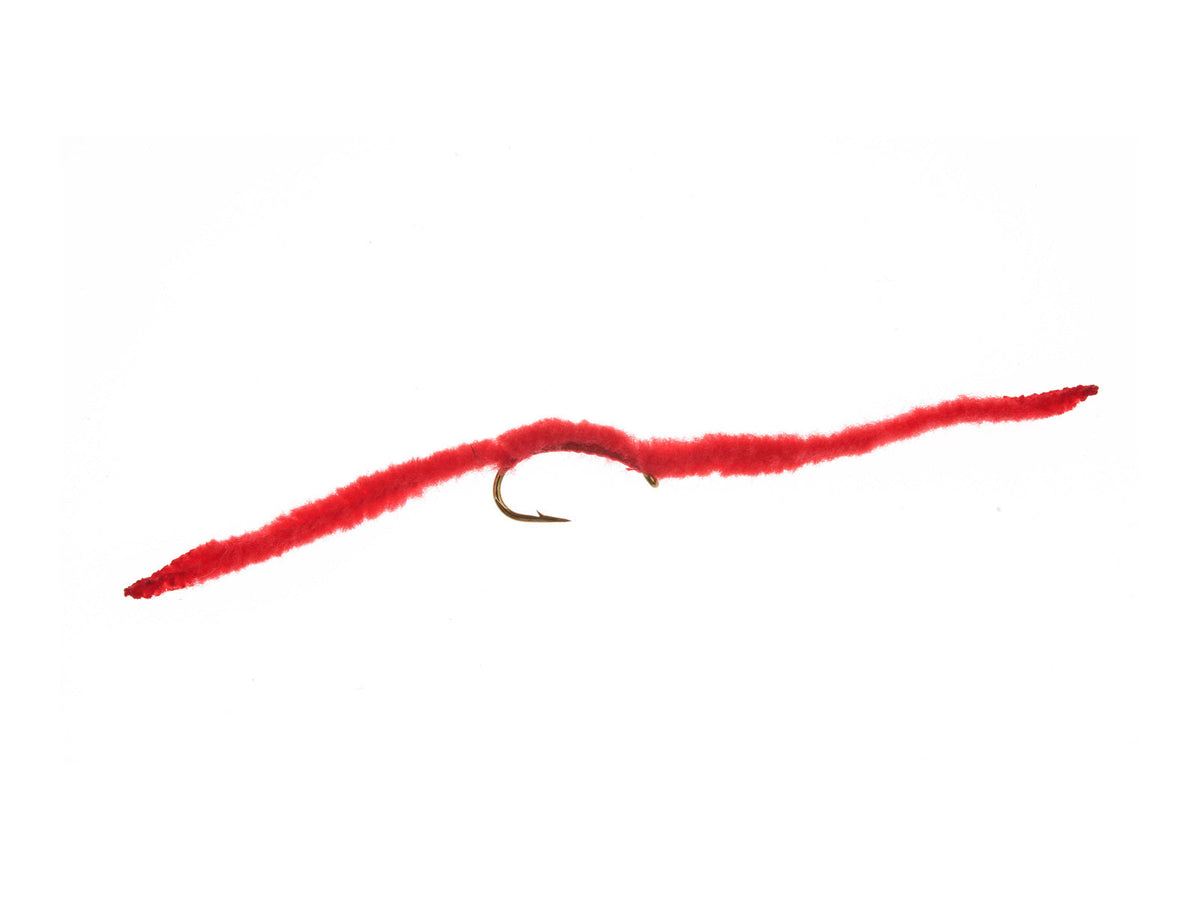 Product photo of the Red San Juan Worm, WIFREO style WY566A