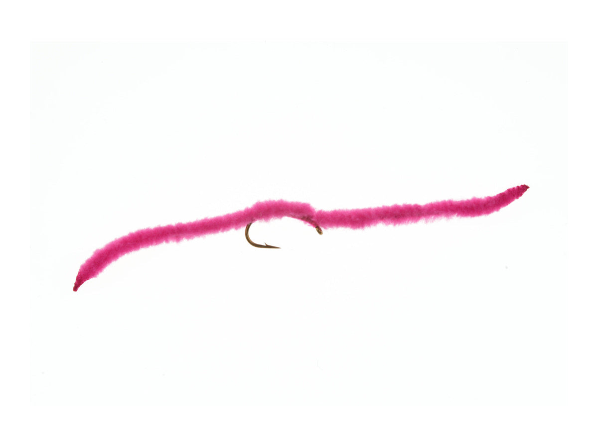 Product photo of the Pink San Juan Worm, WIFREO style WY566B