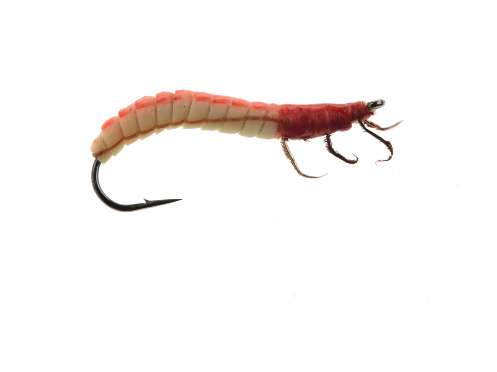 Studio product image of the Cranefly Larva, WIFREO style WY659A