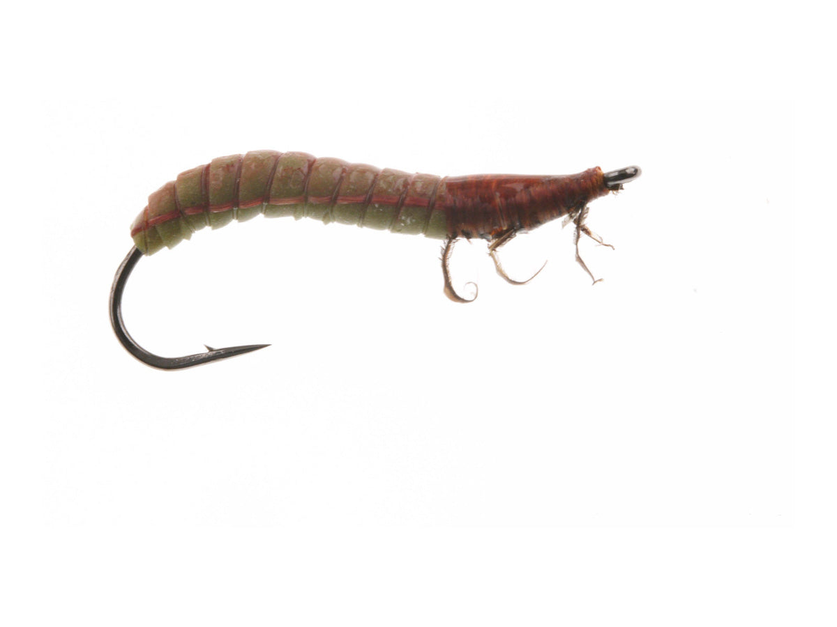 Studio product image of the Cranefly Larva, WIFREO style WY659C