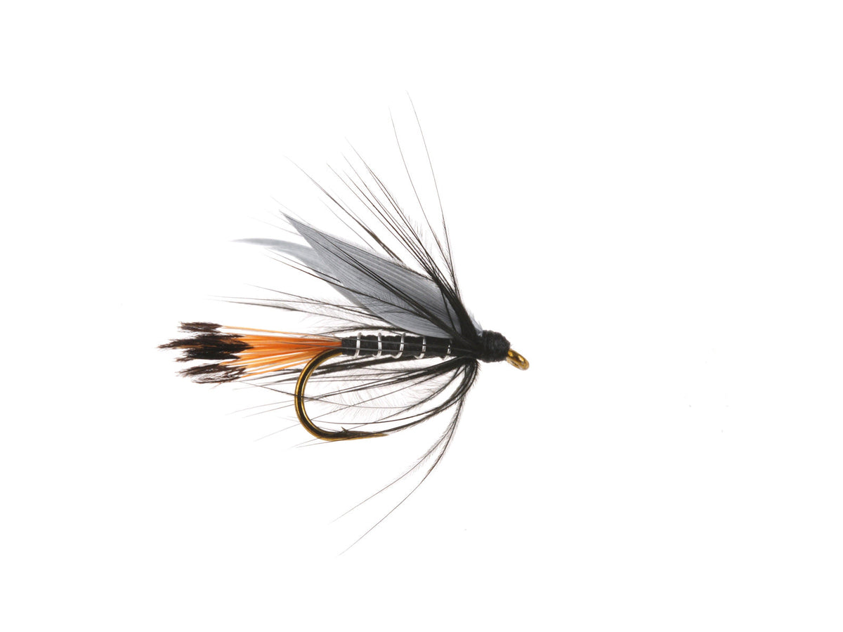 Studio product image of the Black Pennell, WIFREO style WY736