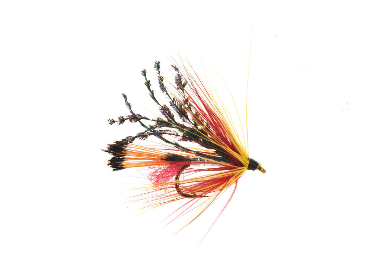 Studio product image of the Wet, WIFREO style WY744