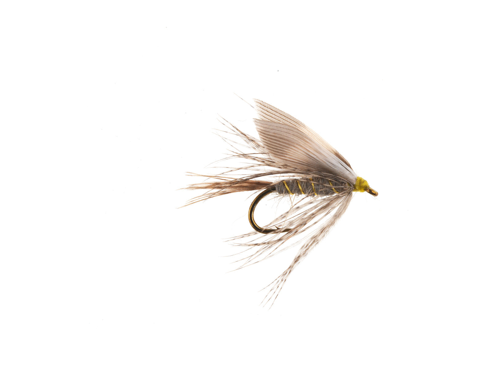 Studio product image of the March Brown, WIFREO style WY826