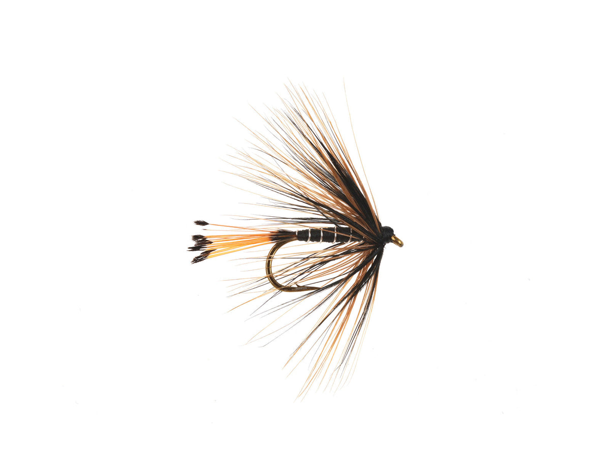 Studio product image of the Black Pennell Wet, WIFREO style WY829