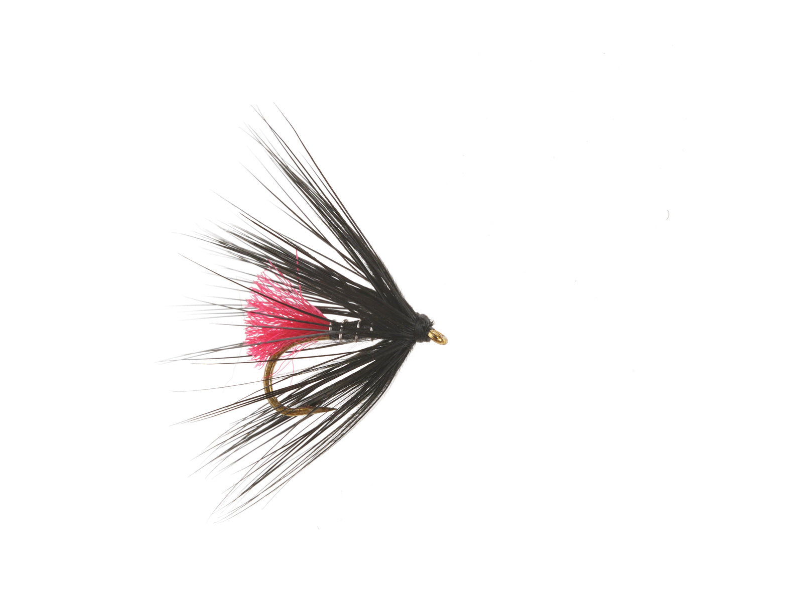 Product photo of the Pink-Tailed Zulu Wet Fly, WIFREO style WY830