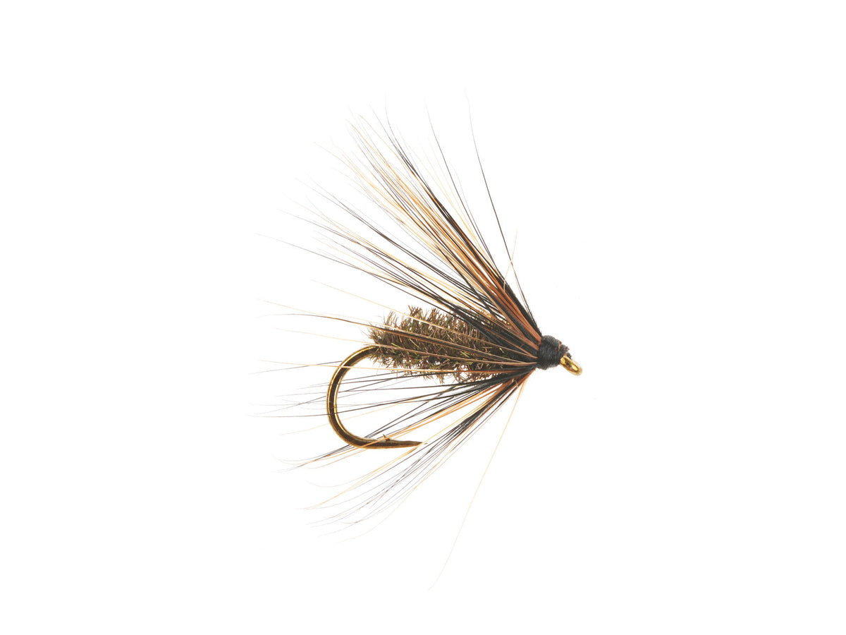 Product photo of the Coch-y-Bonddu Wet Fly, WIFREO style WY832