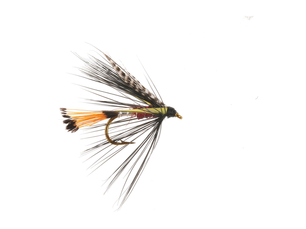 Product photo of the Silver Doctor Wet Fly, WIFREO style WY835