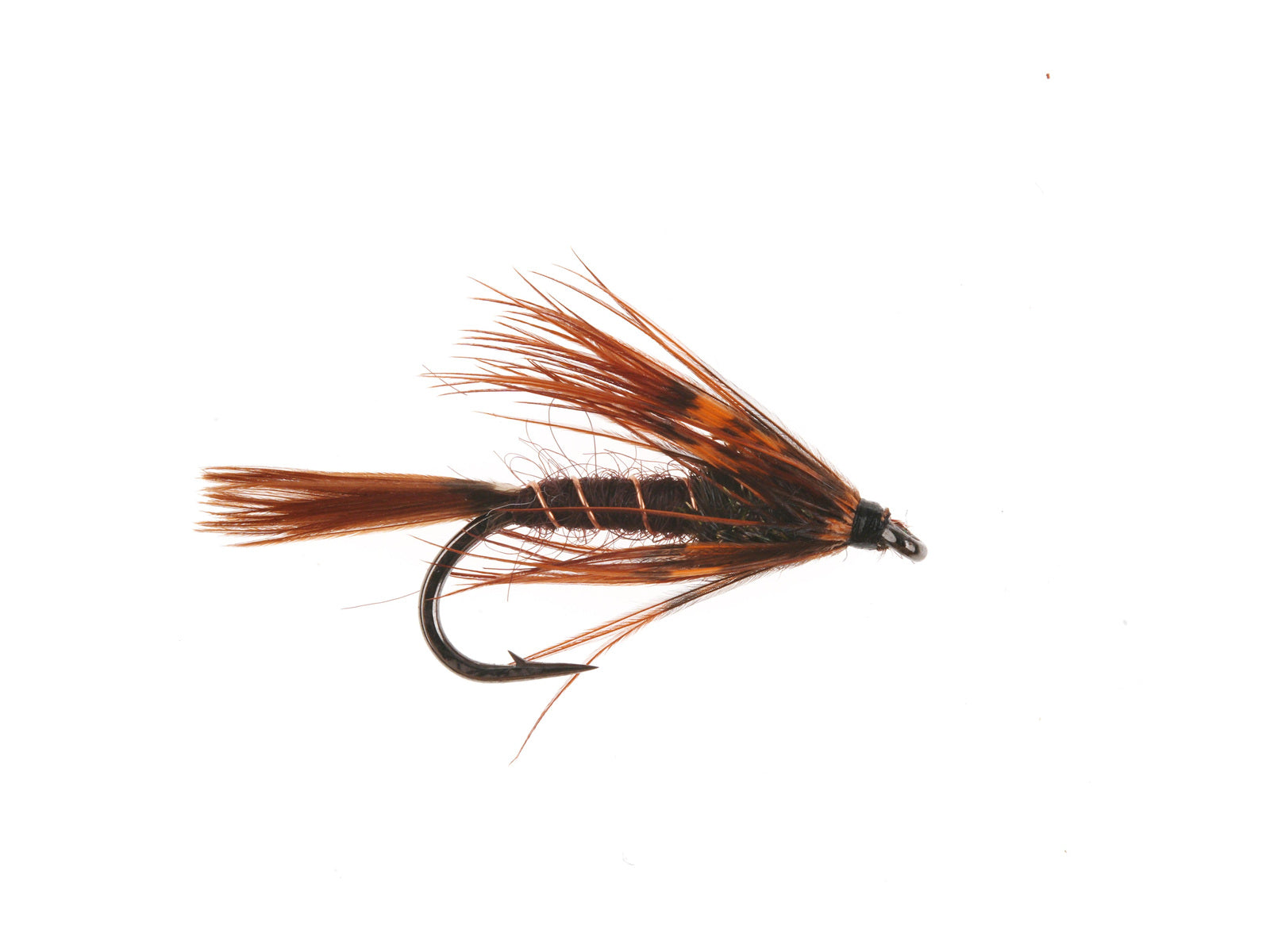 Studio product image of the Wet, WIFREO style WY886