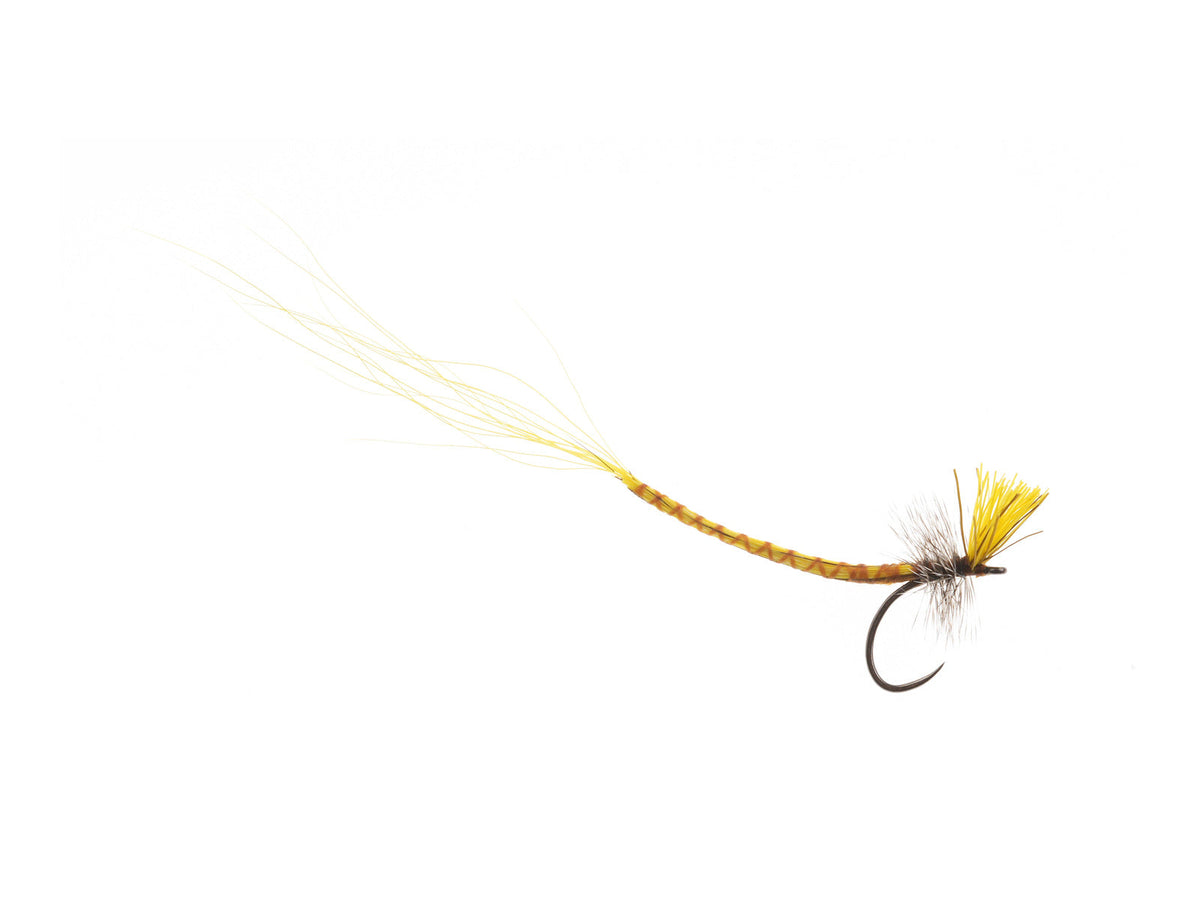 Product photo of the Extended Hex Dry Fly, WIFREO style XY005