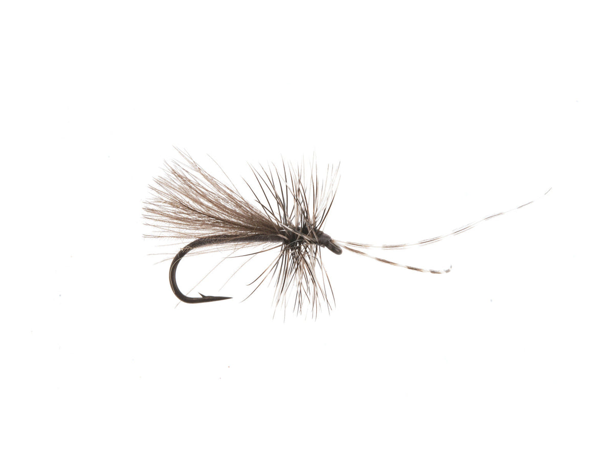 Product photo of the CDC Caddis Dry Fly, WIFREO style XY009