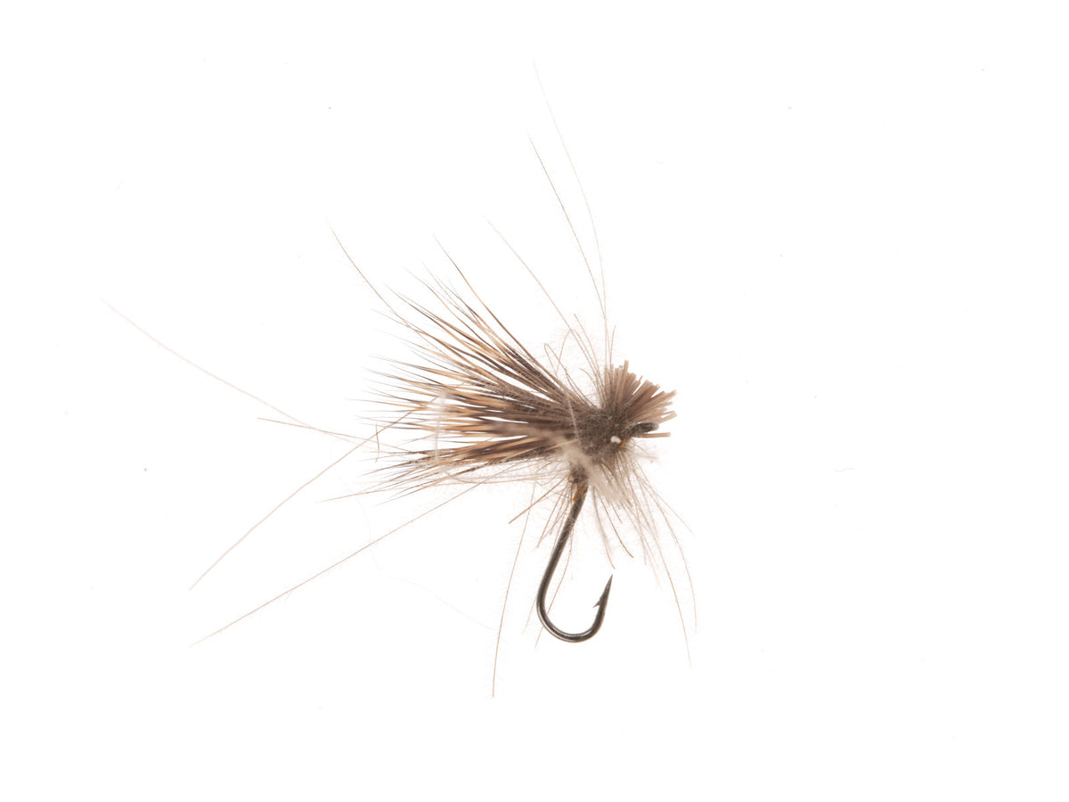 Product photo of the Elk Hair Caddis Dry Fly, WIFREO style XY010