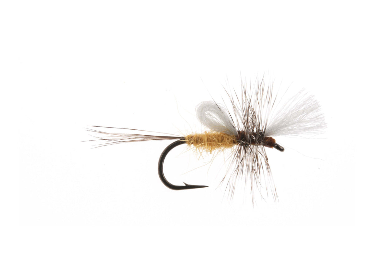 Studio product image of the PMD Cripple, WIFREO style XY014