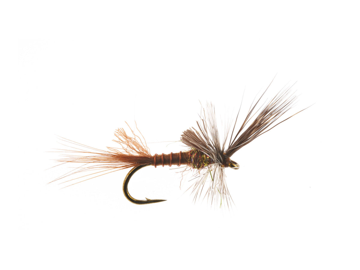 Studio product image of the PMD Cripple, WIFREO style XY016B