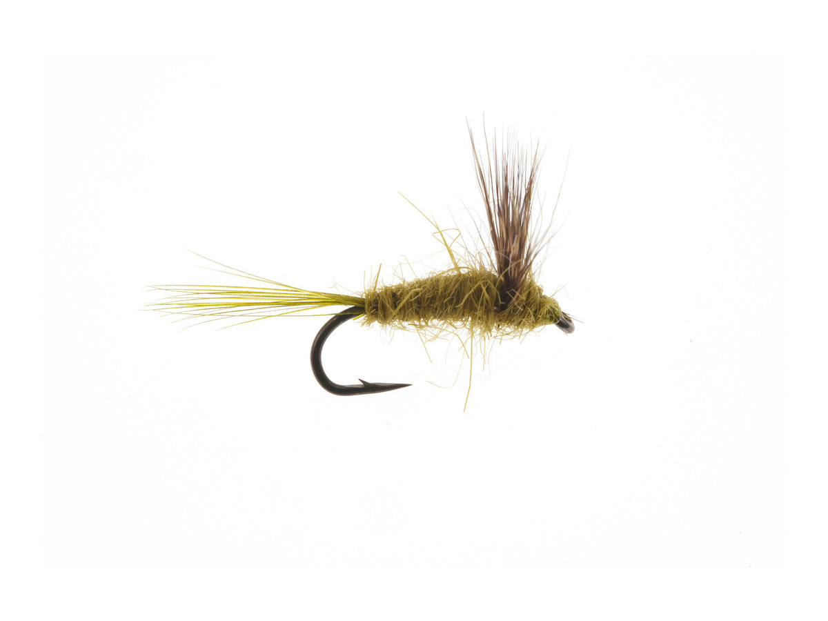 Product photo of the Olive Comparadun Dry Fly, WIFREO style XY017