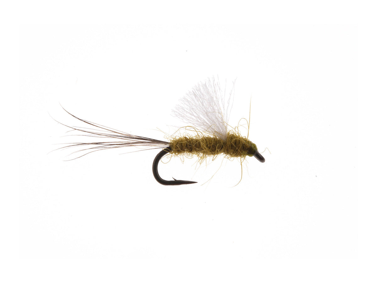 Studio product image of the RS2, WIFREO style XY019