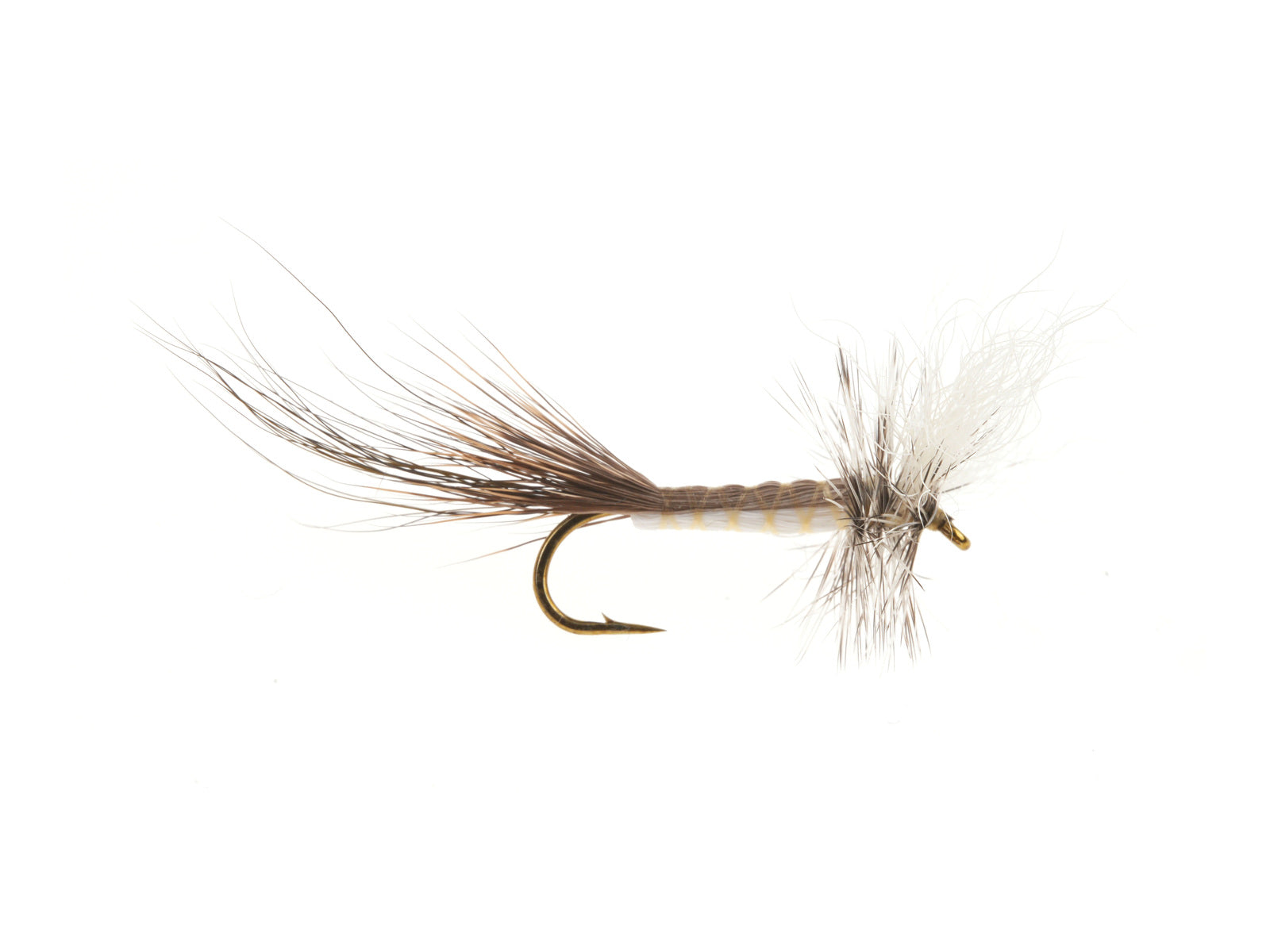 Studio product image of the Hex Cripple, WIFREO style XY025