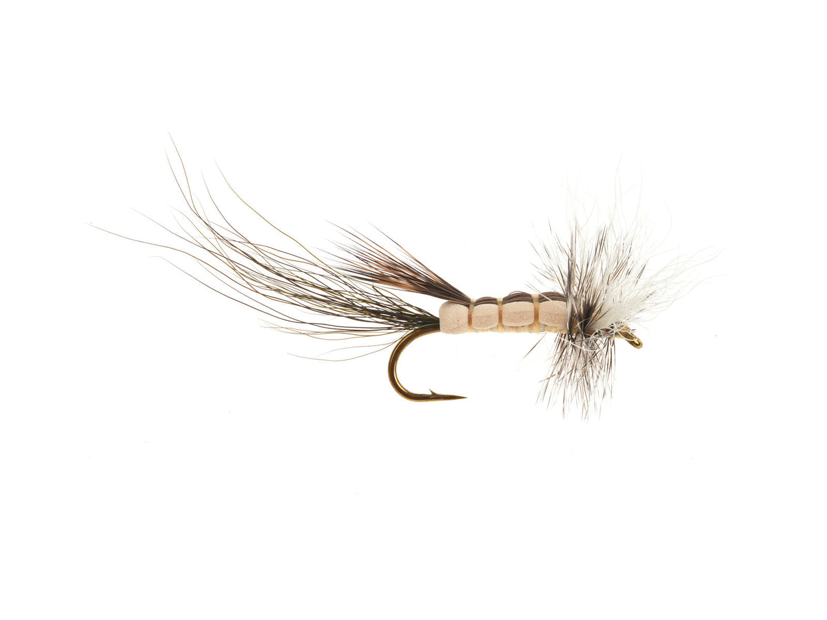 Studio product image of the Hex Cripple, WIFREO style XY026