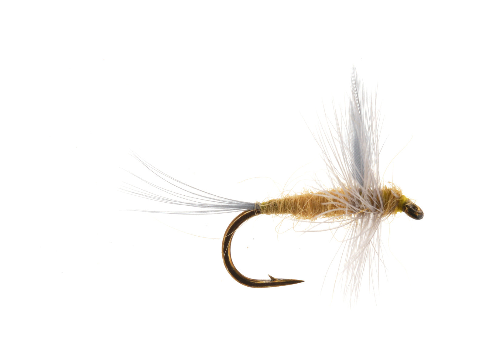 Studio product image of the PMD, WIFREO style XY027