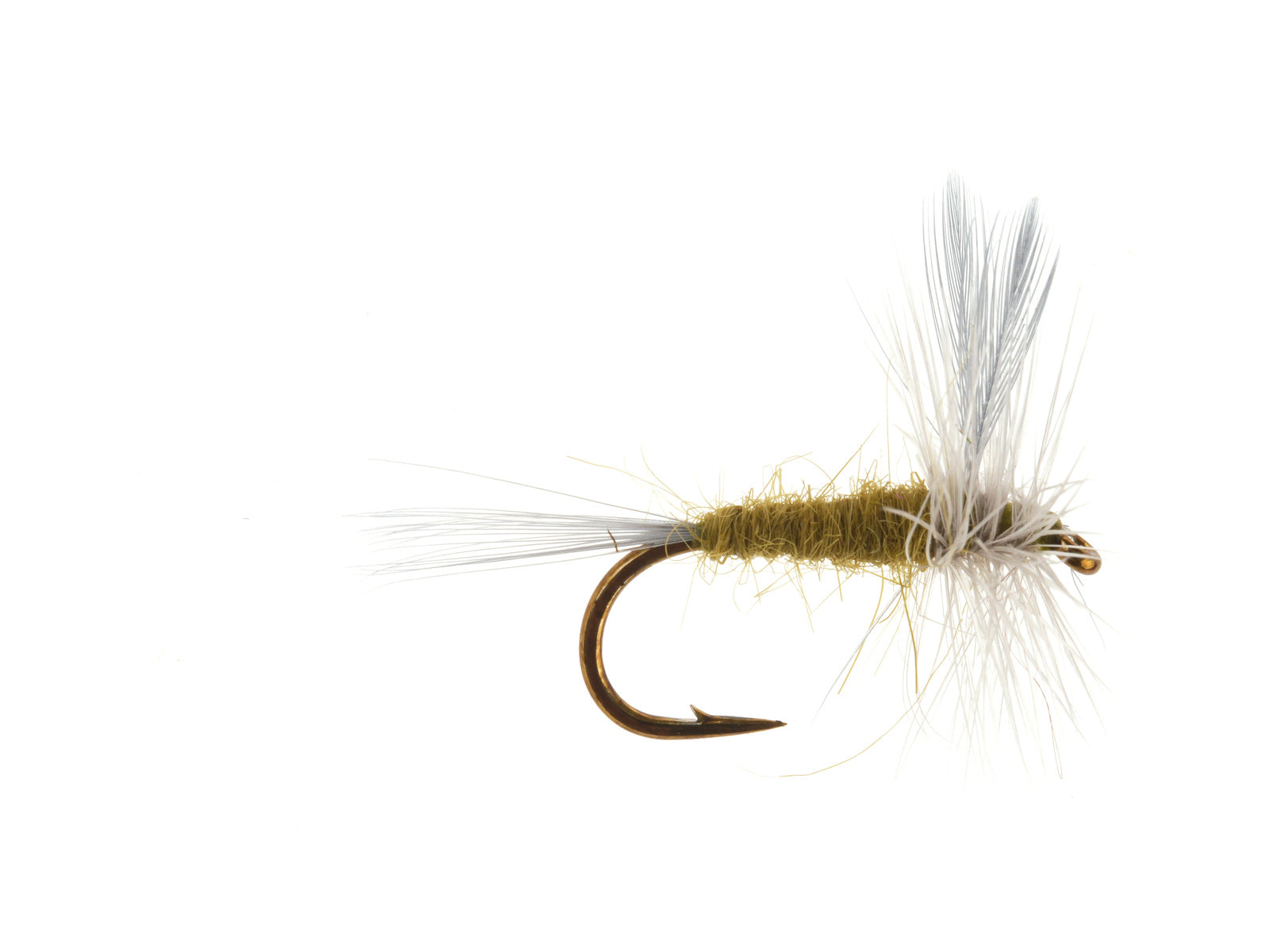 Studio product image of the BWO, WIFREO style XY028