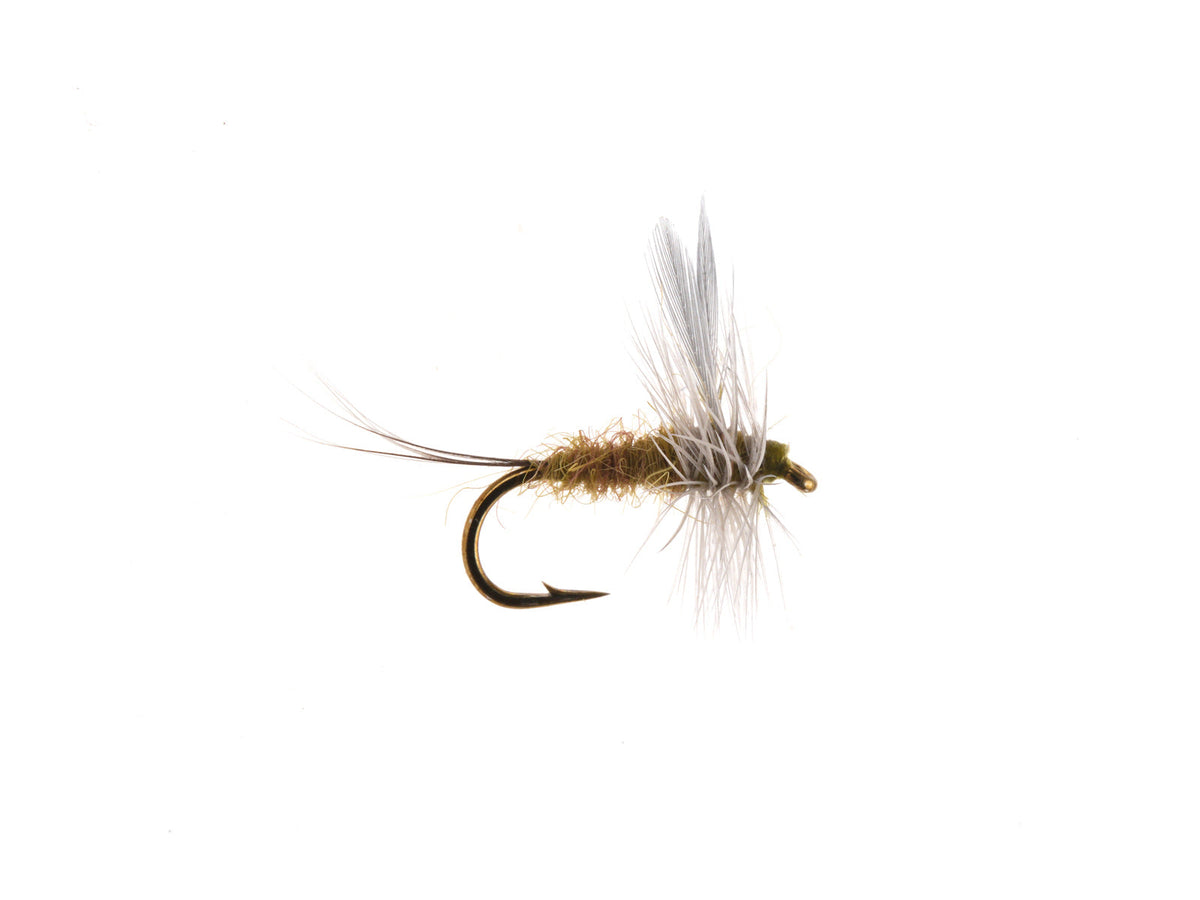 Studio product image of the PMD, WIFREO style XY029
