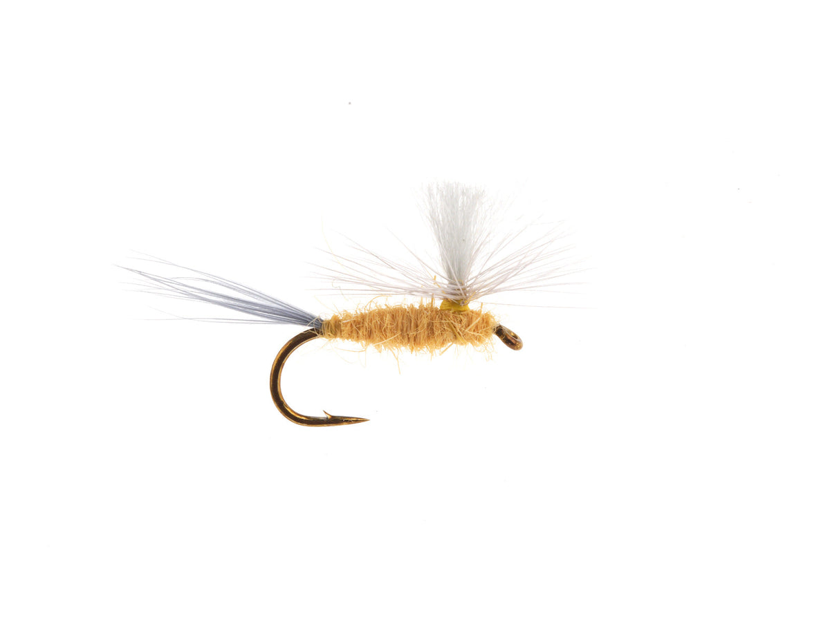 Product photo of the PMD Parachute Dry Fly, WIFREO style XY031
