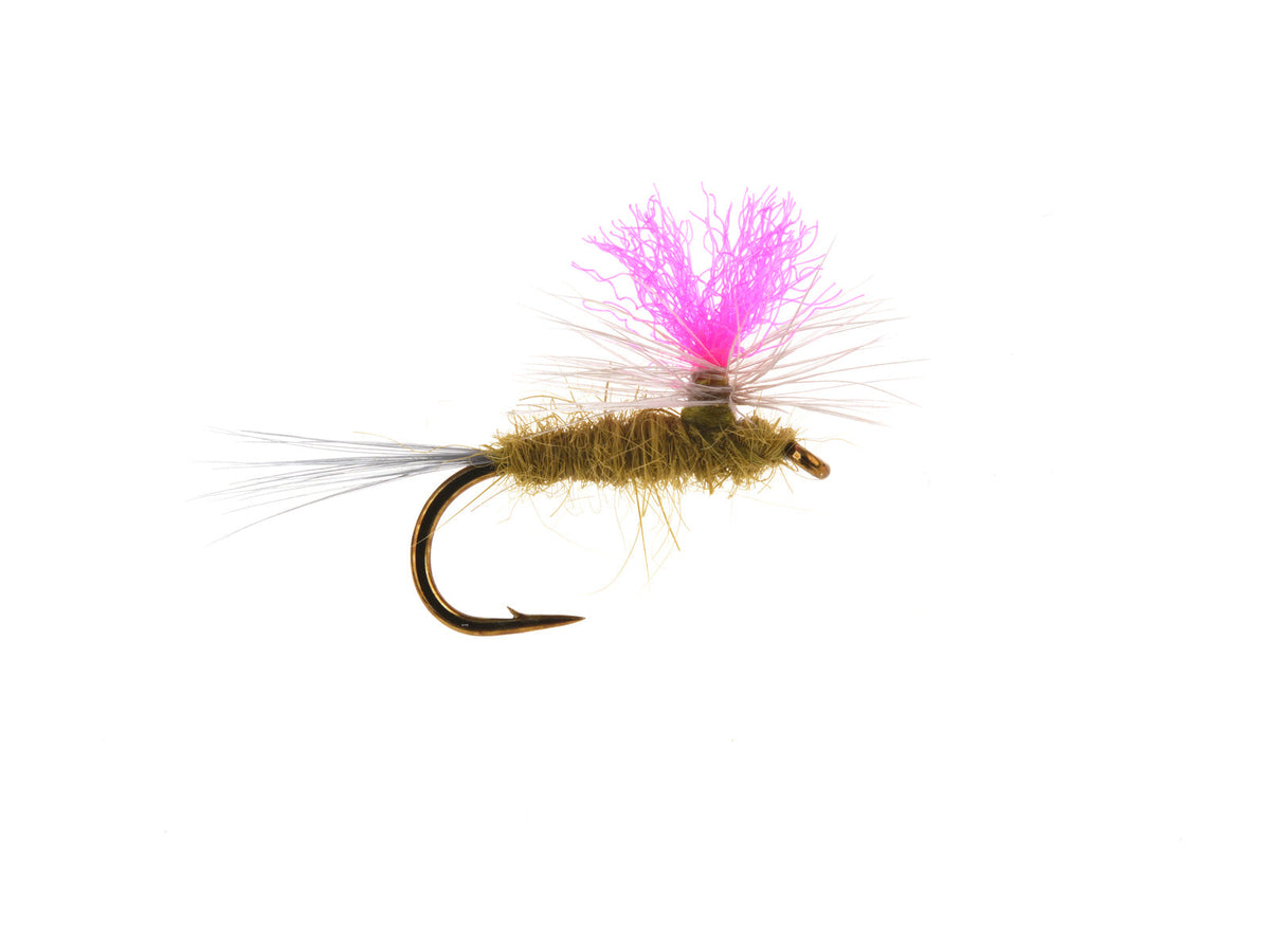 Product photo of the Hi-Vis BWO Dry Fly, WIFREO style XY032