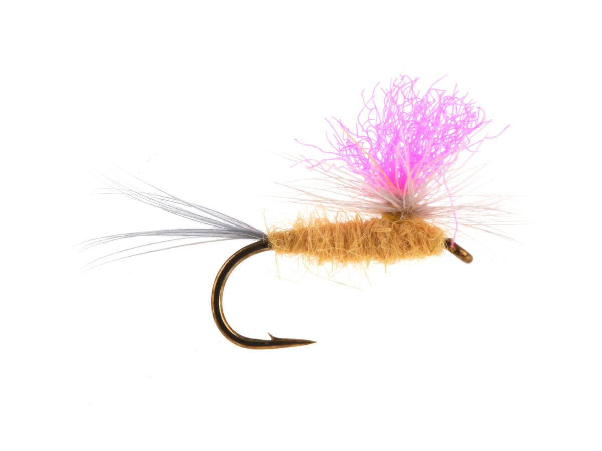 Product photo of the Hi-Vis PMD Dry Fly, WIFREO style XY033