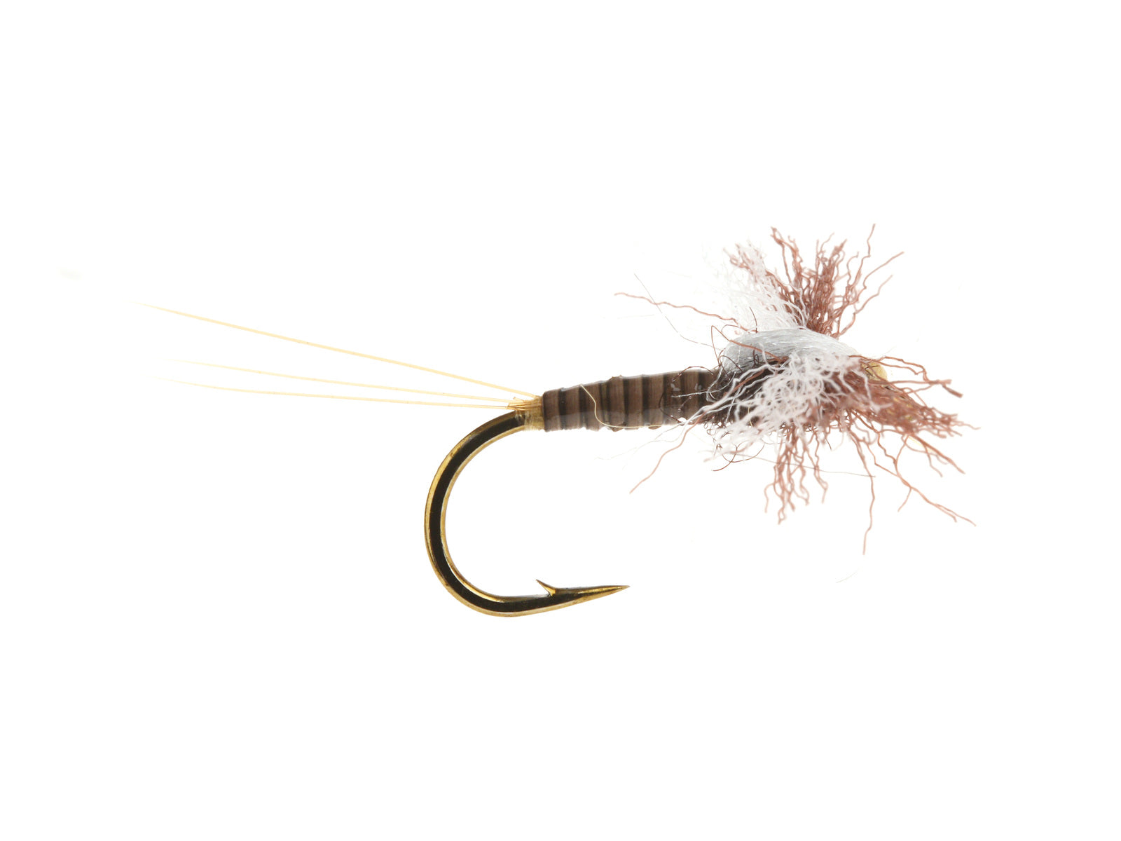 Product photo of the Quilled Spinner Dry Fly, WIFREO style XY034