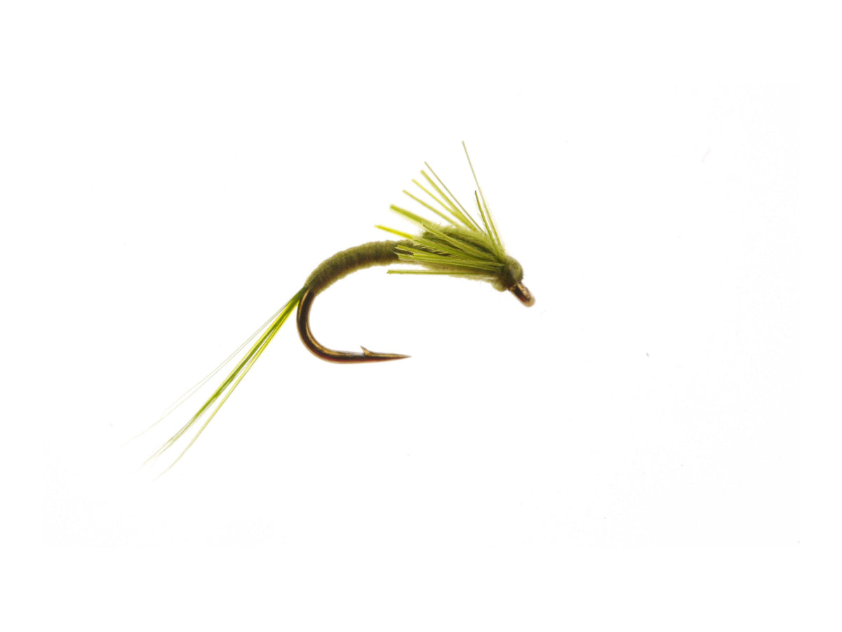Studio product image of the Barr Emerger, WIFREO style XY067