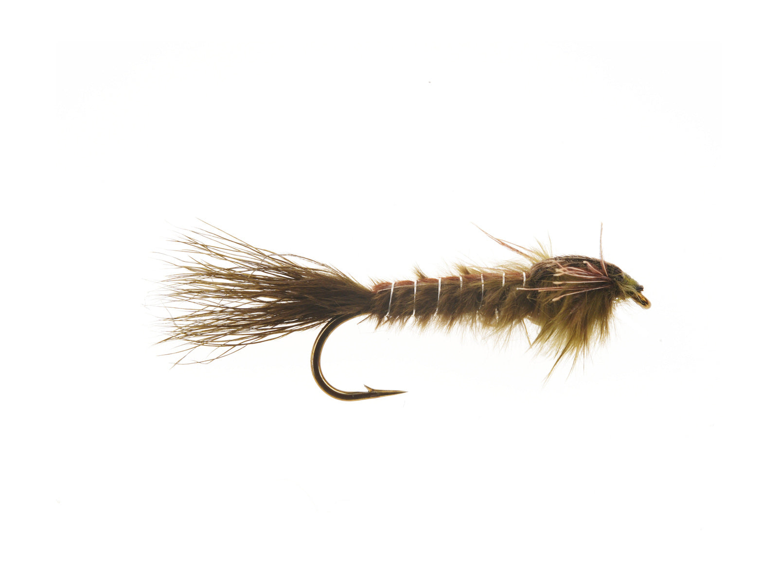 Product photo of the Olive Hex Nymph, WIFREO style XY070