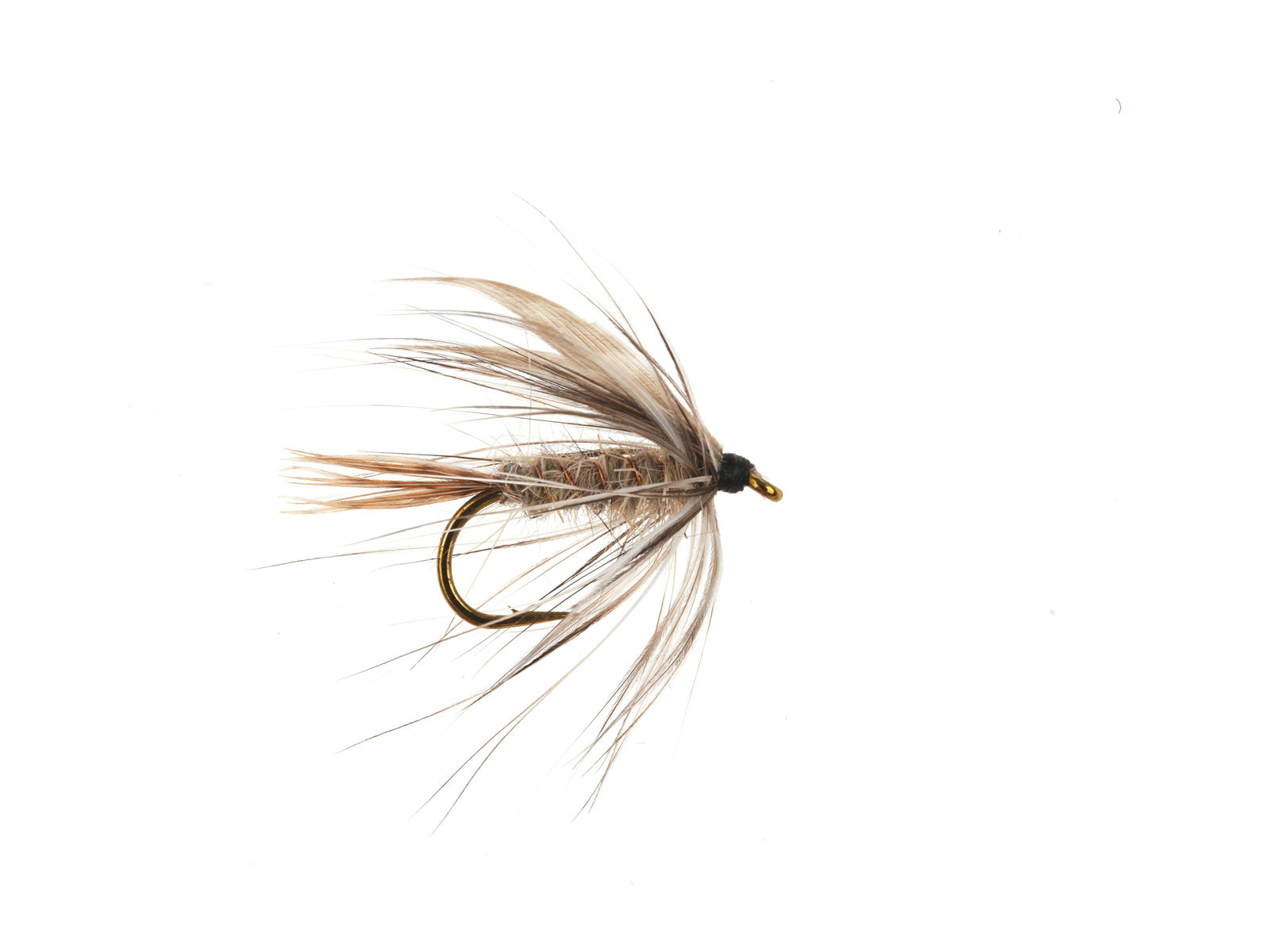 Studio product image of the March Brown, WIFREO style XY094