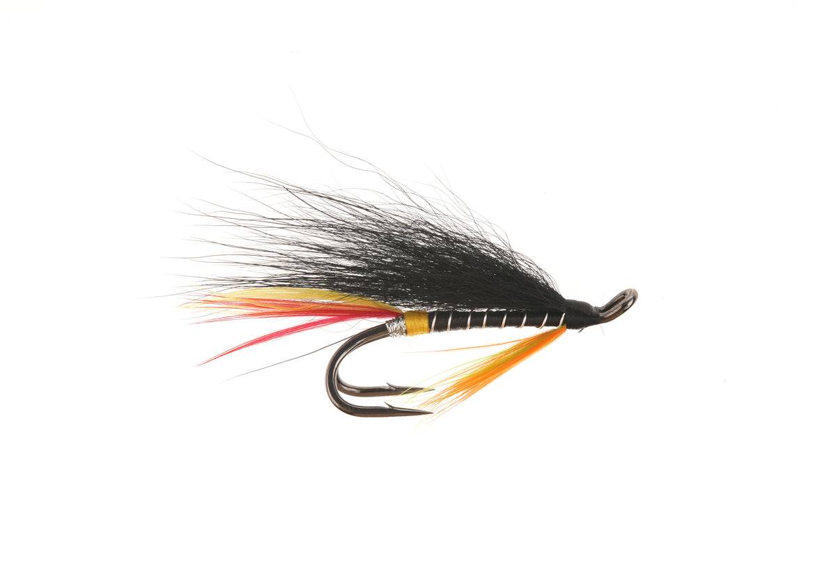 Studio product image of the Salmon Wet, WIFREO style XY095