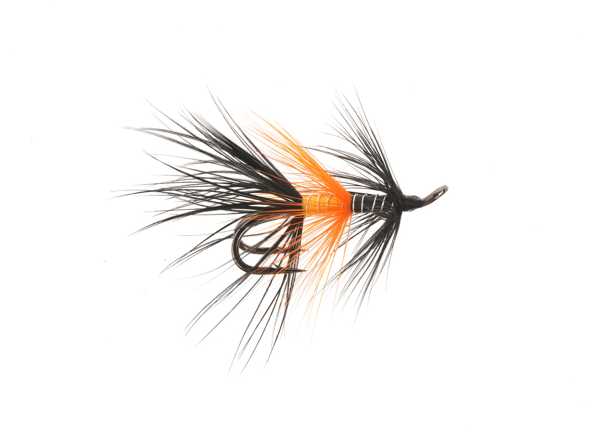 Studio product image of the Salmon Wet, WIFREO style XY097