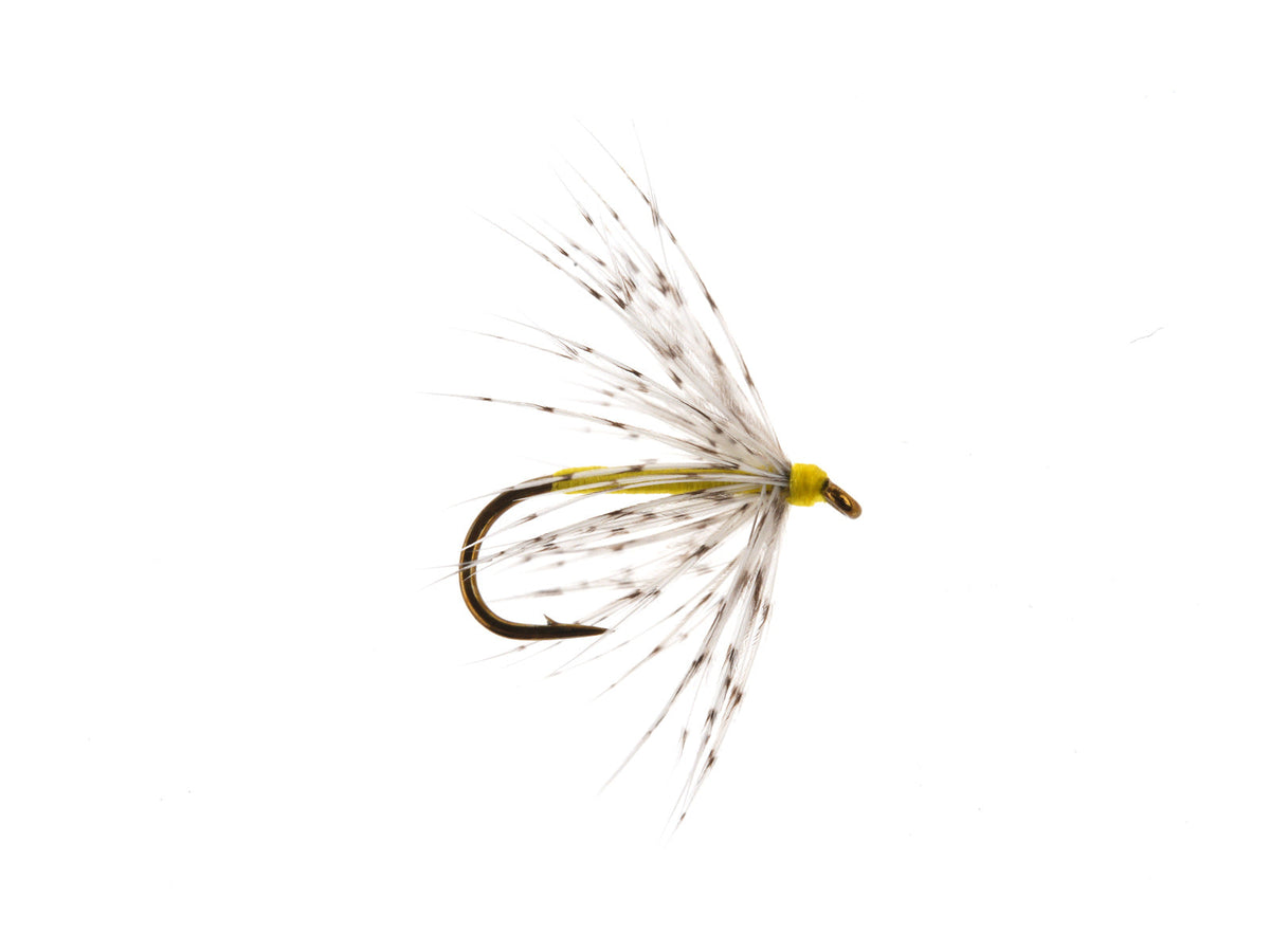 Studio product image of the Soft Partridge, WIFREO style XY098B