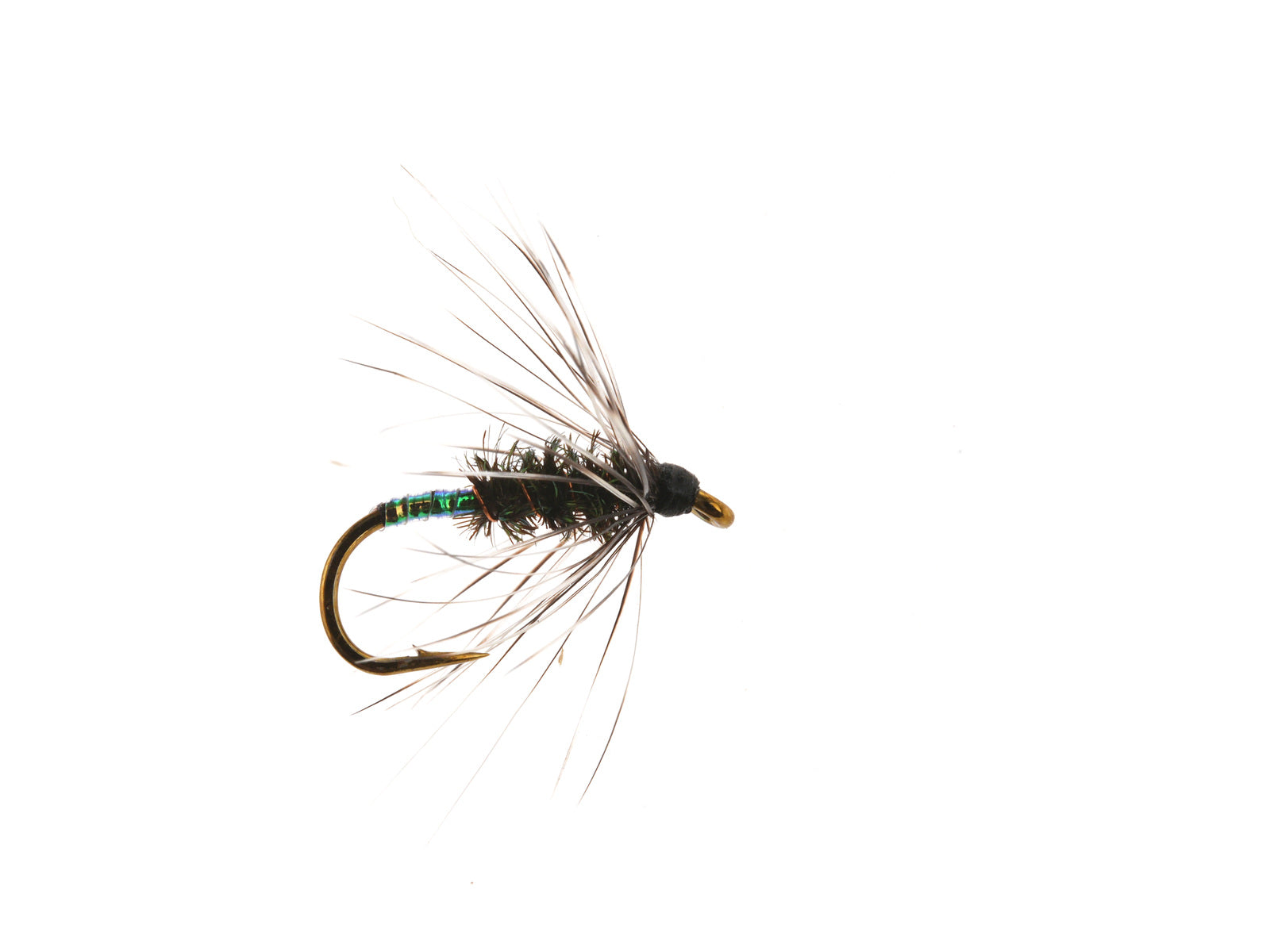 Product photo of the Flash Tag Spider Wet Fly, WIFREO style XY100