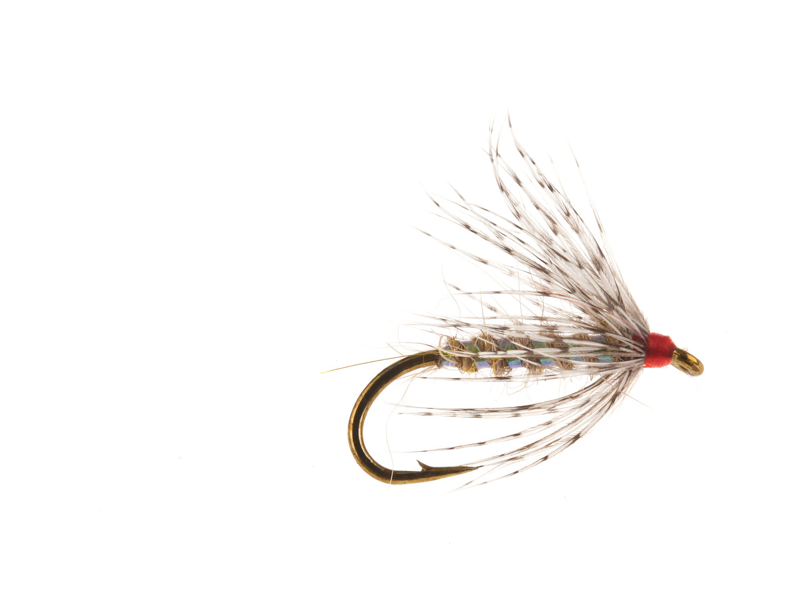 Studio product image of the March Brown, WIFREO style XY103