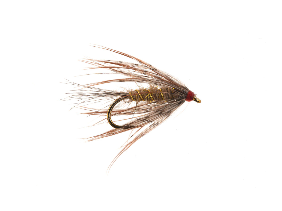 Product photo of the Pheasant Tail Soft Hackle Wet Fly, WIFREO style XY106
